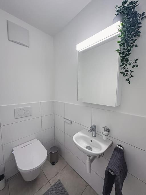 Spacious Apartment Next To Rhine Basilea Exterior foto